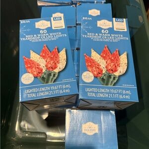 Holiday Time Red and Warm White Teardrop LED Lights